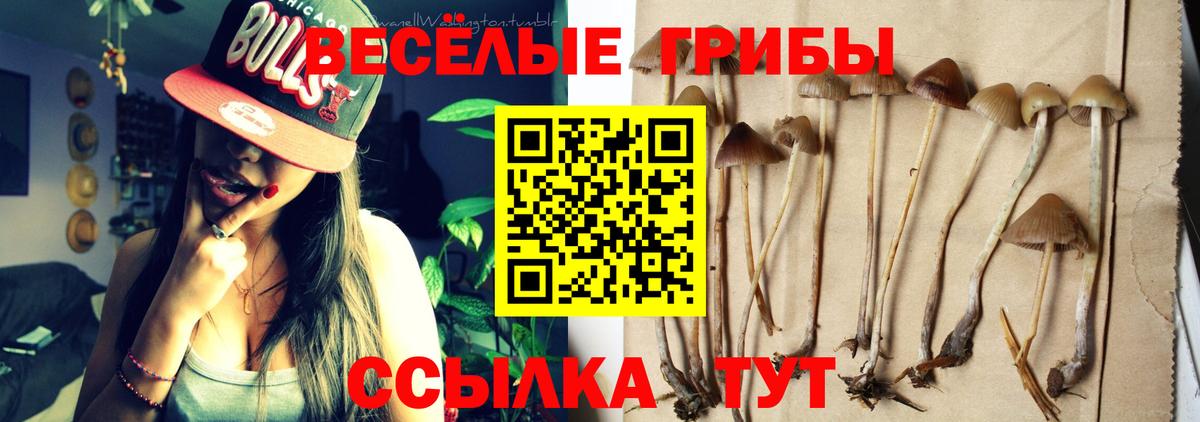 Псилоцибиновые грибы прущие грибы  Псилоцибиновые грибы прущие грибы  Мичуринск  Вход с VPN 